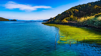 青オサの海岸_長島 鹿児島県