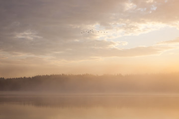 Sunrise at foggy lake