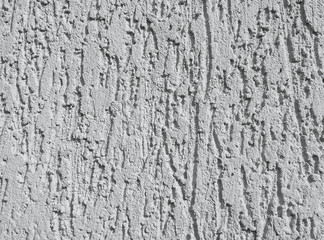 Wall for bark beetle texture background