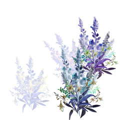 Watercolor illustration of wildflowers, painting on a white and colored background