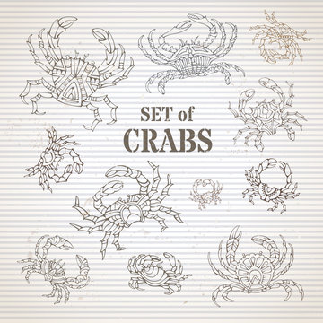Vector set of doodles hand-drawn crab symbols.