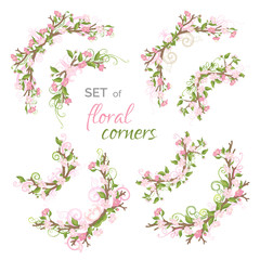 Vector set of spring floral corners.