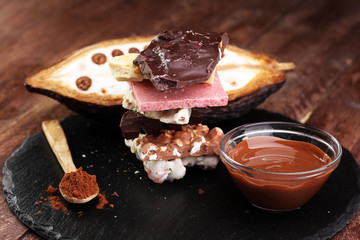 Melting chocolate and diffrent bars - stack and chips with chocolate swirl/ powder and cocoa pod with melted chocolate