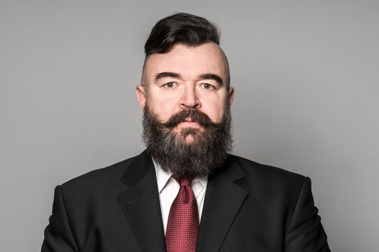 Adult bearded man in a suit  on a gray background. Isolated