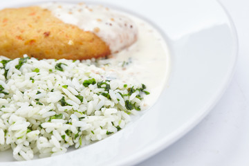 cutlet with rice