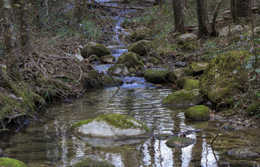 italy stream in mountain forest