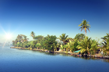 Fototapeta na wymiar sunrise at backwaters landscape with saying coconut trees and traditional house boats in Alleppey, Kerala, India