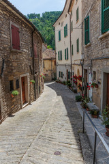 Obraz na płótnie Canvas Narrow old street with flowers in Italy