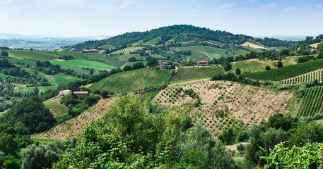 Typical Italian landscape in Tuscany