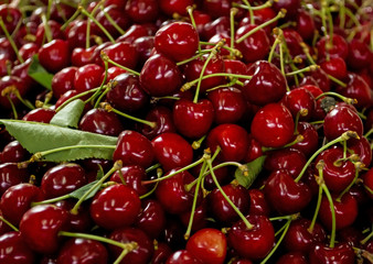 Cherries 1