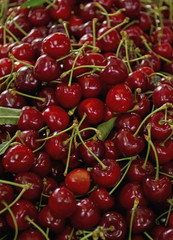 Cherries