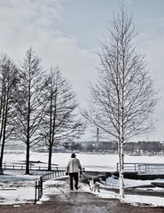 Fototapeta na wymiar The old man with dogs, the winter of Helsinki, Finland