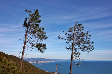 Obraz premium Beigua park, Arenzano, Italian Riviera