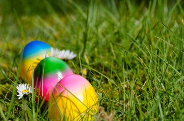 Celebrating Easter, colored eggs on a flower meadow