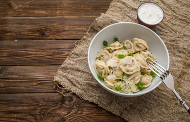 Meat dumplings - russian pelmeni, ravioli with meat on a white plate