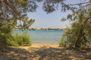 Summer holidays.Ionian coast of Salento:Porto Cesareo (Lecce).- ITALY (Apulia) -In the background Porto Cesareo town seen from the Big Island (or Isola Grande) Nature Reserve.	
