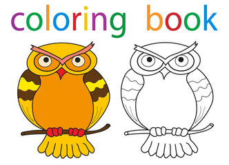 Vector, book coloring cartoon owl