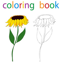 Vector, book coloring flower sunflower