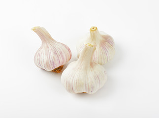 Fresh garlic bulbs