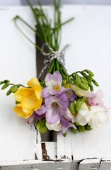 Simple hand tied posy of spring flowers freesia 