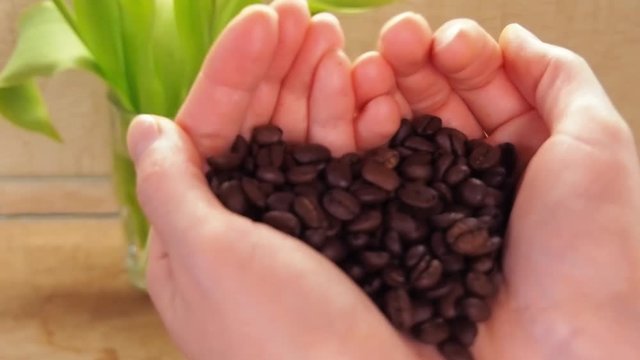 Grains of coffee in the hands of the heart. On the marble table of the kitchen, women's hands with coffee beans. Close-up.