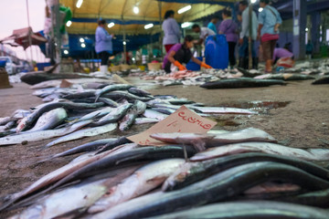Sell fresh fish