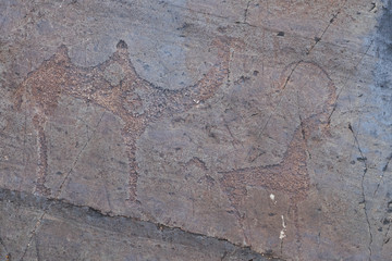 Petroglyphs of the Bronze Age
