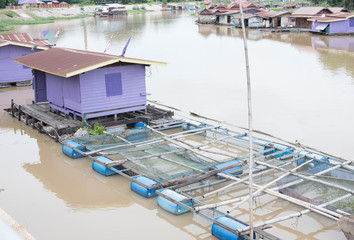 Fishery on a river at Thailand