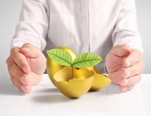  Holding of golden eggs