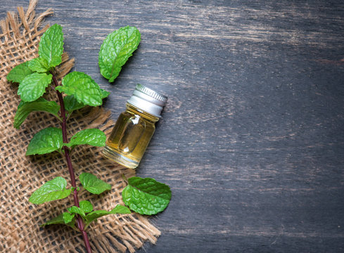 fresh mint essential oil on wood background,top view