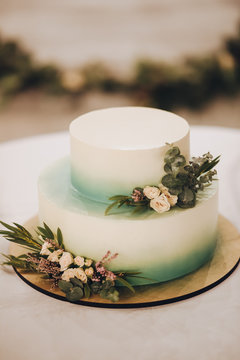 two-tiered wedding cake decorated with branches of greenery, stands on a table in the woods