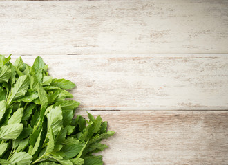Holy basil leaves on wooden background, Copy space