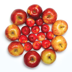 Many red apples fruits in the form of a circle isolated on a white background