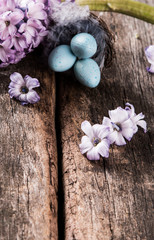Fototapeta na wymiar Spring hyacinth on wooden background. Hyacinthus, gardening concept.