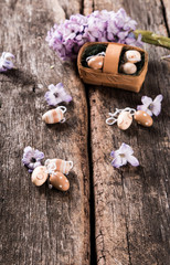 Spring hyacinth on wooden background. Hyacinthus, gardening concept.