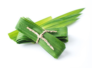 Fresh Pandan leaves isolated on white background