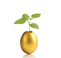 golden  easter egg isolated