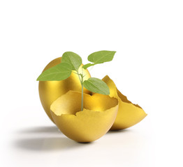 golden  easter egg isolated