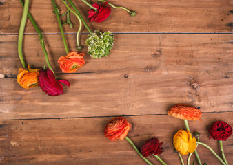 Fototapeta na wymiar Ranunkulyus bouquet of red flowers on a wooden background