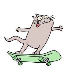 cat rides a skateboard. vector illustration