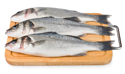 Sea Bass on wooden board isolated