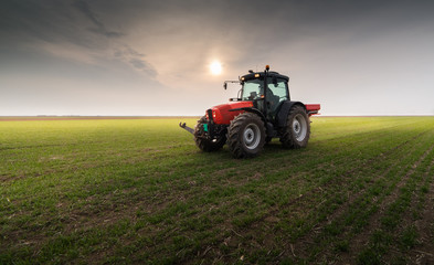 Tractor spreading artificial fertilizers