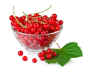 red currants