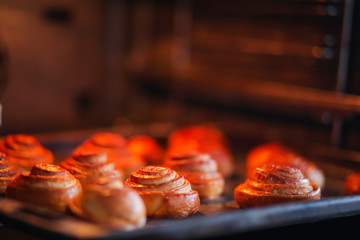 булочки с корицей выпекаются в духовке