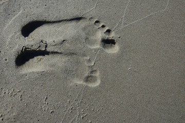 Fototapeta na wymiar Footprints on the beach in wet sand