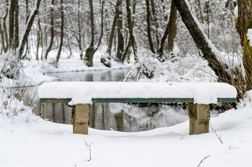 Nature park Vrelo Bosne near Sarajevo - Bosnia and Herzegovina, winter scene