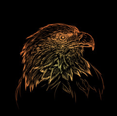 Hand draw eagle portrait. Hand draw vector illustration