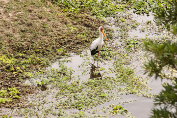 Marloth Park Game Reserve South Africa