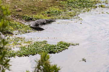 Marloth Park Game Reserve South Africa