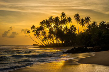 Indian ocean shore with silhouettes of palm trees and amazing cloudy sky on sunset in Sri Lanka.